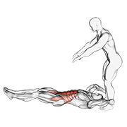 Animación de assisted lying leg raise with throw down