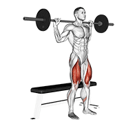 Animación de barbell bench squat