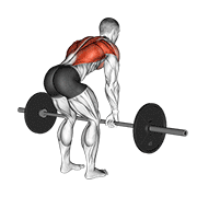 Animación de barbell bent over row