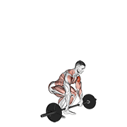 Animación de barbell clean and press