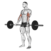 Animación de barbell curl