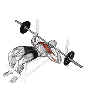 Animación de barbell decline bench press