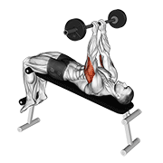Animación de barbell decline close grip to skull press