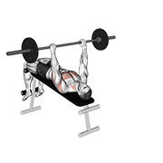 Animación de barbell decline wide-grip pullover