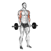 Animación de barbell drag curl