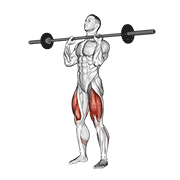Animación de barbell front chest squat