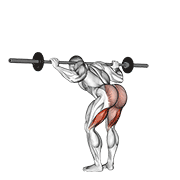 Animación de barbell good morning