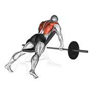 Animación de barbell incline row