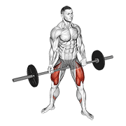 Animación de barbell jefferson squat