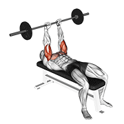 Animación de barbell jm bench press