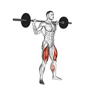 Animación de barbell jump squat