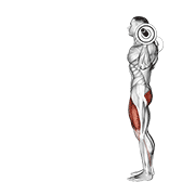 Animación de barbell lunge