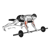 Animación de barbell lying preacher curl