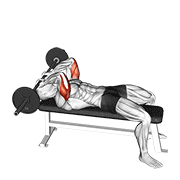 Animación de barbell lying triceps extension skull crusher