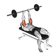 Animación de barbell lying triceps extension