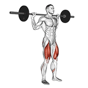 Animación de barbell narrow stance squat