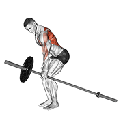 Animación de barbell one arm bent over row