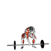 Animación de barbell one arm snatch