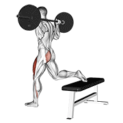 Animación de barbell one leg squat