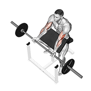 Animación de barbell preacher curl