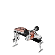 Animación de barbell press sit-up