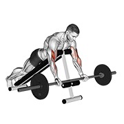 Animación de barbell prone incline curl