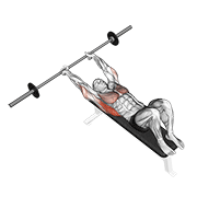 Animación de barbell pullover
