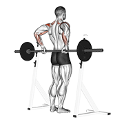 Animación de barbell rear delt raise