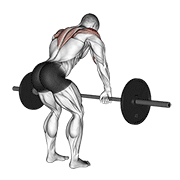 Animación de barbell rear delt row