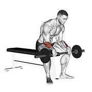 Animación de barbell revers wrist curl v. 2
