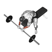 Animación de barbell reverse wrist curl