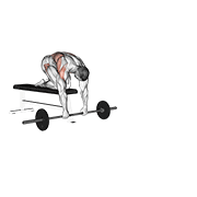 Animación de barbell rollerout from bench