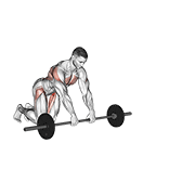 Animación de barbell rollerout