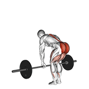 Animación de barbell romanian deadlift