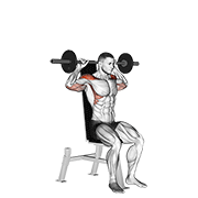 Animación de barbell seated bradford rocky press