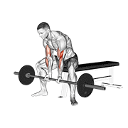Animación de barbell seated close-grip concentration curl