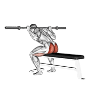 Animación de barbell seated good morning