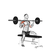 Animación de barbell seated overhead press