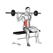 Animación de barbell seated twist