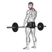 Animación de barbell shrug