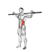 Animación de barbell side bent v. 2