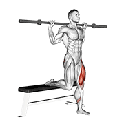 Animación de barbell single leg split squat