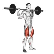 Animación de barbell speed squat