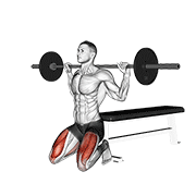 Animación de barbell squat (on knees)