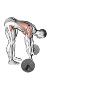 Animación de barbell standing ab rollerout