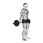 Animación de barbell standing back wrist curl