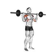 Animación de barbell standing bradford press