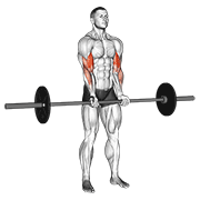 Animación de barbell standing close grip curl