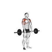Animación de barbell standing front raise over head