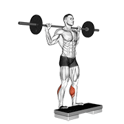 Animación de barbell standing leg calf raise